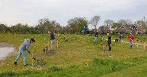 Schoffelen op de heuvel bij de nieuwste fruitbomen